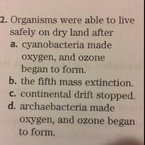 Organisms were able to live safely on dry land after