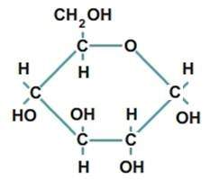 What biological macromolecule is made up of monomers like the one shown below?  fat carb