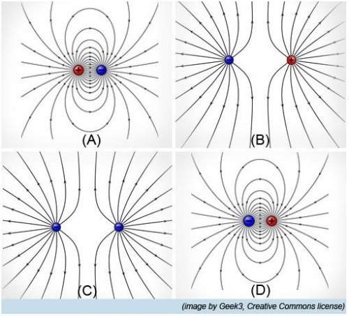 Which figure shows a correct pattern of field lines? a. figure ab. fig