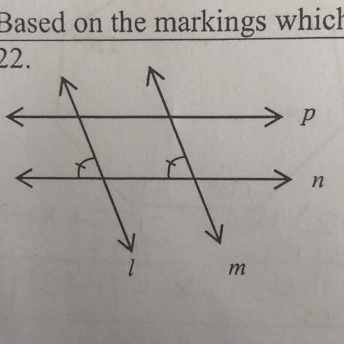 Based on the markings which lines or segments must be parallel? justify your answer