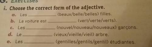 Chose the correct form of the adjective using the adjectives in the brackets☺