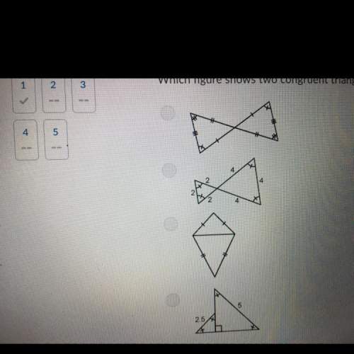 Which figure shows two congruent triangles