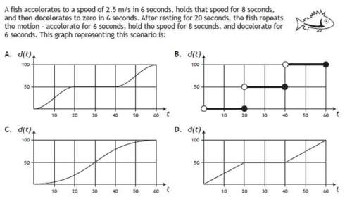 Can someone me with this and explain how that graph is the answer?