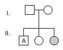 In the family tree below, people with the recessive trait of attached earlobes are shaded gray.
