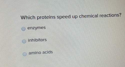 Which proteins speed up chemical reactions? enzymesinhibitorsamino acids