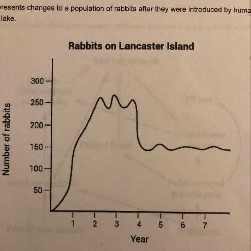 The graph represents changes to a population of rabbits after they were introduced by humans only on