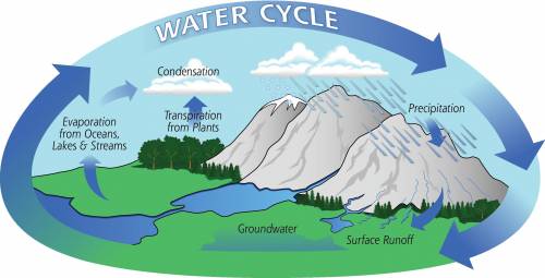 The recycling of water from the ground via runoff or transpiration through plants back into the atmo