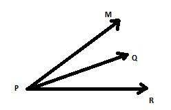 ∠mpr is an acute angle and pq is in the interior of ∠mpr. ∠qpr must be a. straight  b. obtuse c. rig