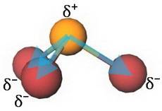 Which type of intermolecular force is pbr3