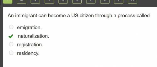 An immigrant can become a us citizen through a process called