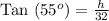 \text{Tan }(55^o)=\frac{h}{32}