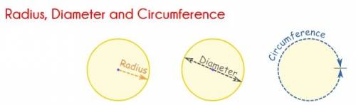 If the redius of circle f is 19 cm what is the length of its diameter
