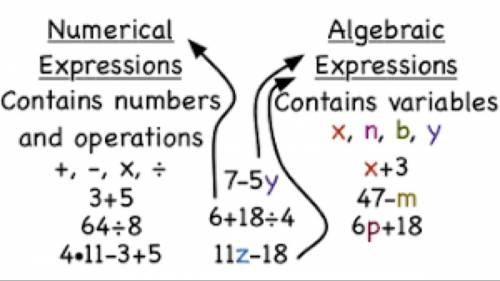 Describe the diffrence between algebraic expressions and numerical expressions