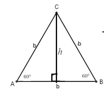 An equilateral triangle has sides of length 20. to the nearest tenth, what is the height of the equi