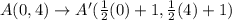 A(0, 4) \rightarrow A'(\frac{1}{2}(0)+1 , \frac{1}{2}(4)+1)