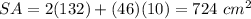 SA=2(132)+(46)(10)=724\ cm^{2}