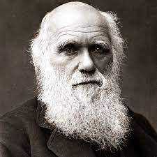 How was darwin’s work on the evolution of species exploited by proponents of the industrial age?  wh