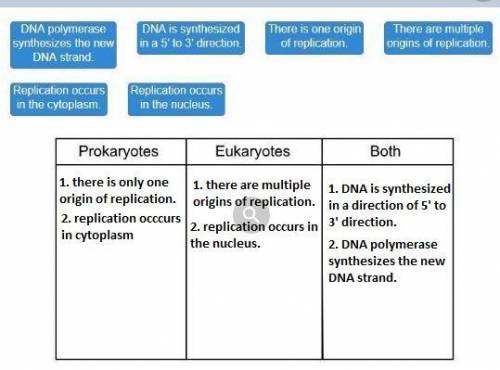 Determine whether the characteristics describe dna replication in prokaryotes only, eukaryotes only,