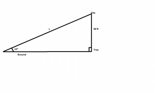 Akite is stuck in a 36-ft tree. if the angle of elevation from the kite and the ground is 12, find t