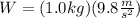 W=(1.0kg)(9.8\frac{m}{s^{2}})