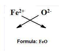 What is the formula unit for a compound made from fe2+ and oxygen?  ofe feo fe2o o2fe