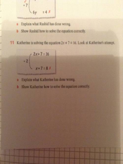 Number 11. I'm not sure any help?