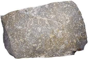 Which of the following is a type of nonfoliated metamorphic rock.a. slateb.gneissc.phyllited.quartzi