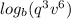 log_{b}( q^{3}  v^{6})