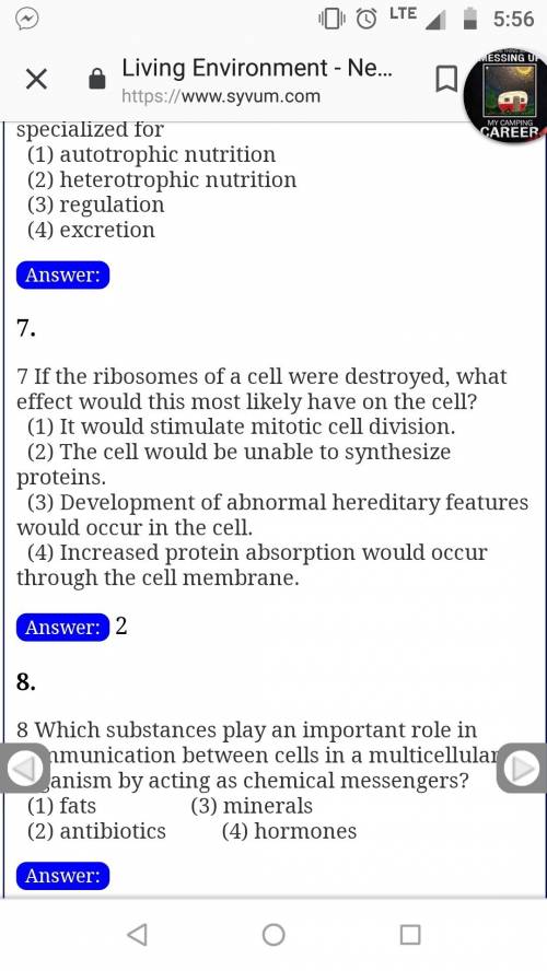 If many of the ribosomes of a cell were destroyed, what effect would this most likely have on the ce