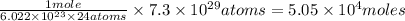\frac{1mole}{6.022\times 10^{23}\times 24 atoms}\times 7.3\times 10^{29}atoms=5.05\times 10^4moles