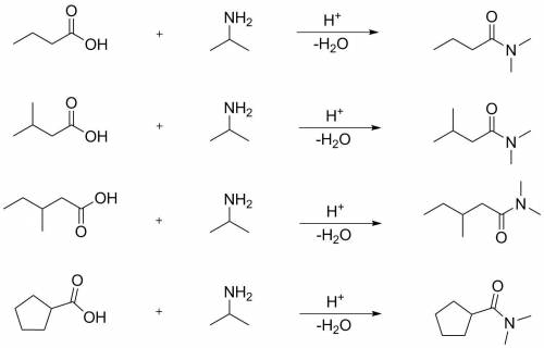 Draw the amide formed when 1-methylethylamine (ch3ch(ch3)nh2) is heated with each carboxylic acid.