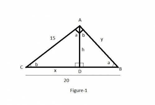 Brainliest answer to first !  what is the value of x in the figure below?  in this diagram abd~cad.