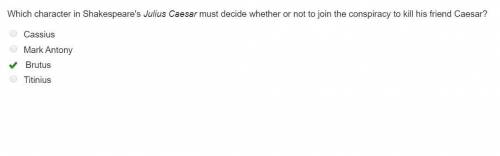Which character in shakespeare's julius caesar must decide whether or not to join the conspiracy to