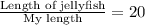 \frac{\text{Length of jellyfish}}{\text{My length}}=20