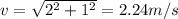 v=\sqrt{2^2+1^2}=2.24m/s