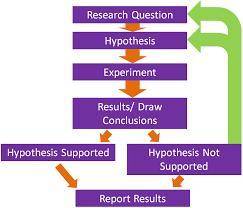 Summarize the steps you might use to carry out an investigation using scientific methods