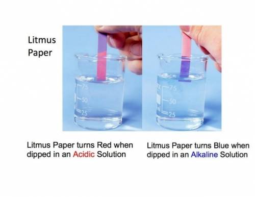 Which of the following statements is correct  a.) blue litmus paper turns red when placed in a base