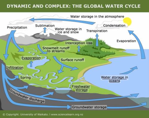What are the stages in the water cycle?