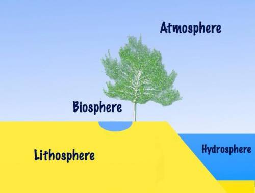Which of the following is not one of earth's four spheres?  1)  mesosphere 2)  hydrosphere 3)  atmos