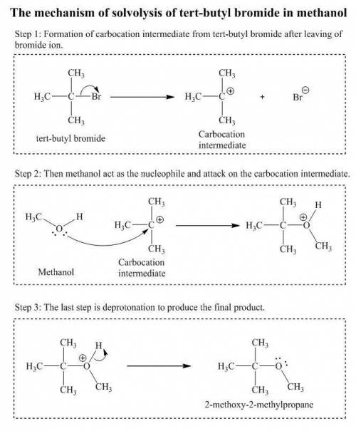 Draw a structure for the product of nucleophilic substitution obtained on solvolysis of tert−butyl b