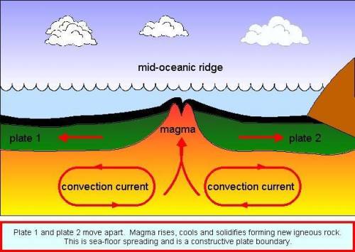 The process by which the seafloor moves apart at mid-ocean ridges is called   a. subduction  b. pola