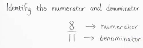 What is a numerator and a denominator