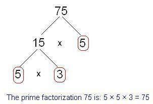 What’s is the prime factorization for 75