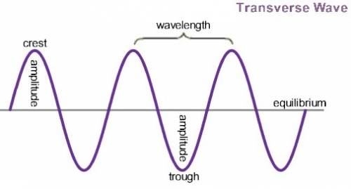 In the diagram below, which of the following represents the equilibrium?  diagram of wave. the dista