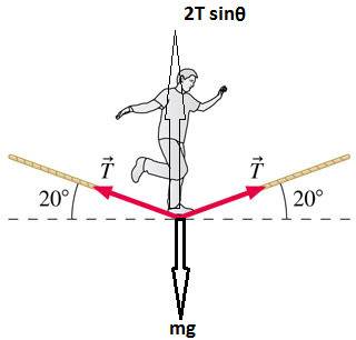 A65 kg students is walking on a slackline, a length of webbing stretched between two trees. the line
