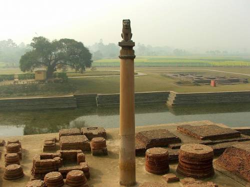 The maurya period pillar of ashoka likely