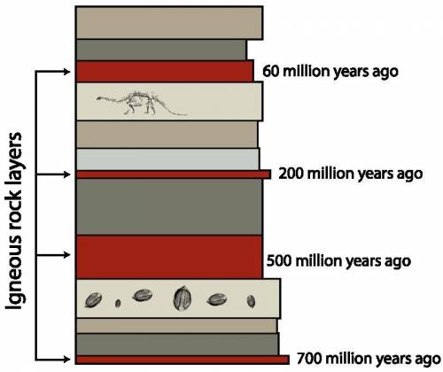 James wants to estimate the absolute age of an animal fossil. however, test results show that the fo