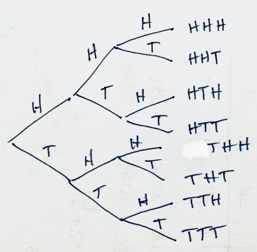 In a probability experiment, a coin is flipped three times. construct a tree diagram