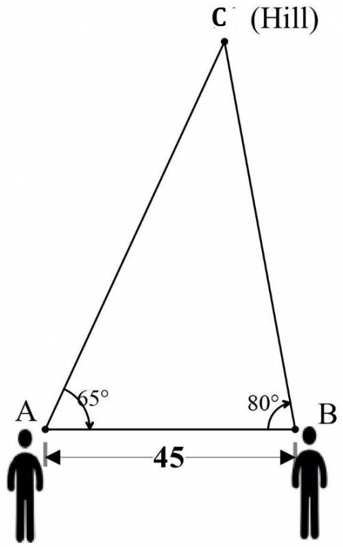 Two people are standing on opposite sides of a hill. person a makes an angle of elevation of 65° wit