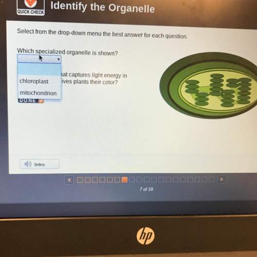 Which specialized organelle is shown